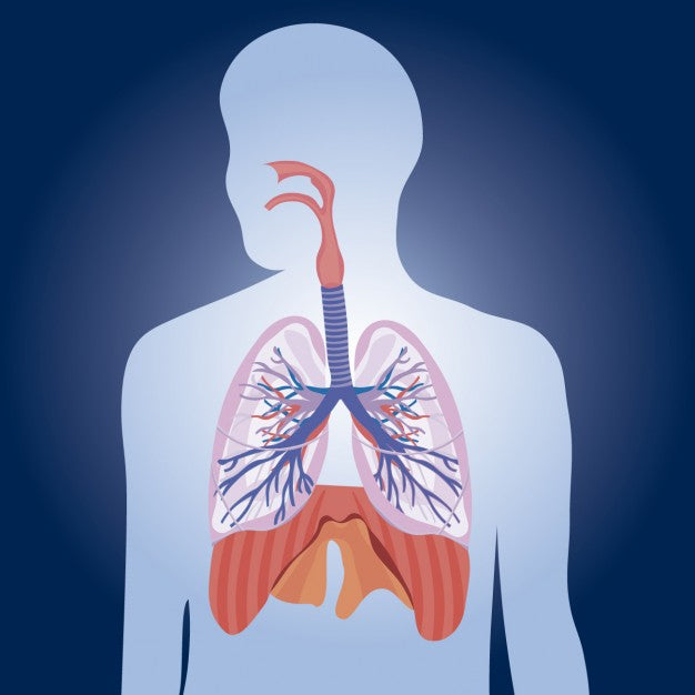 Breathing (Respiratory) Aids