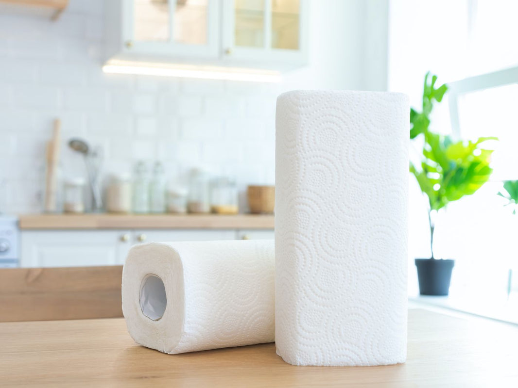 Products Towel Kitchen 2 Ply Twin Pack 24 Rolls/Carton